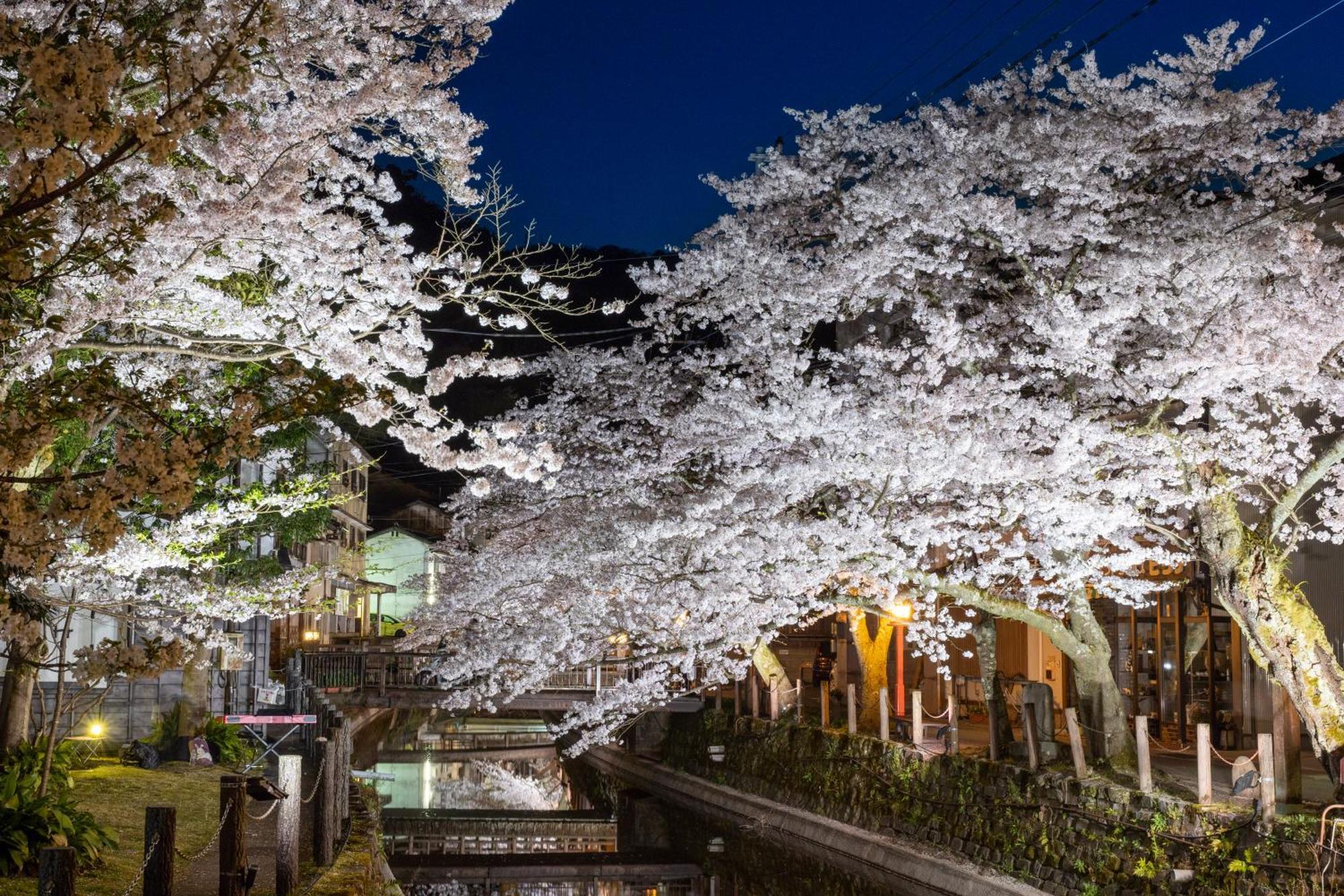 Mikuniya Hotel Toyooka  Exterior foto
