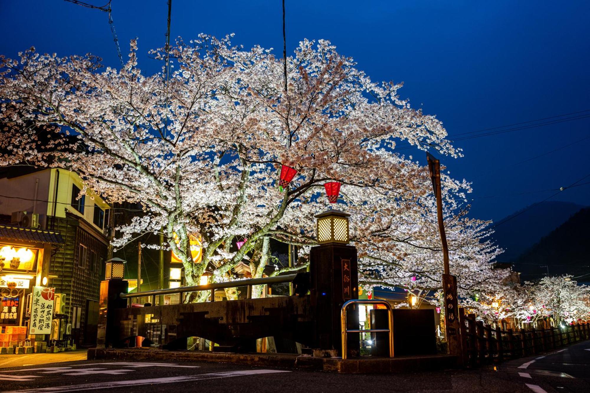 Mikuniya Hotel Toyooka  Exterior foto